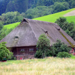 Black Forrest Home