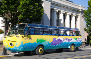 The Hippo Amphibious Bus