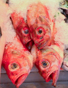 Pikes Market Fish