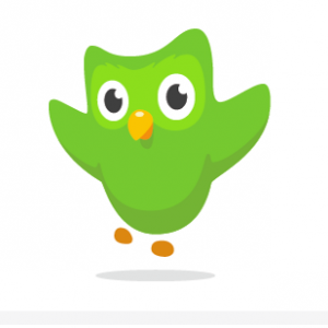 duoLingo