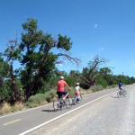Bikers on the Bosque in Albuquerque, NM