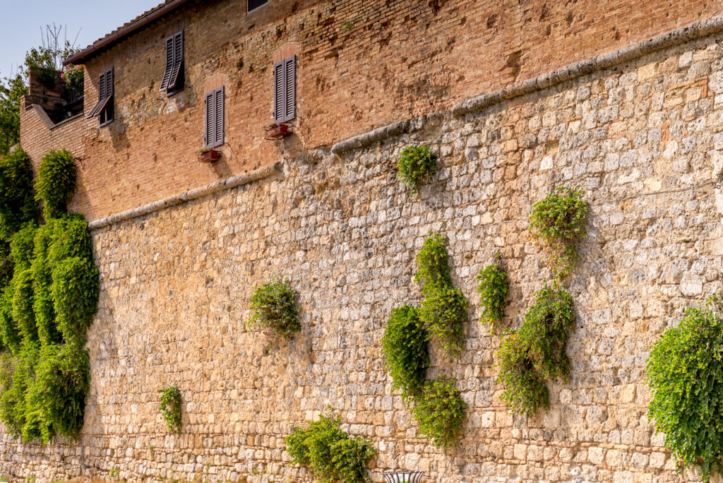 A Beautiful Photographic Tuscany Tour with Walks of Italy