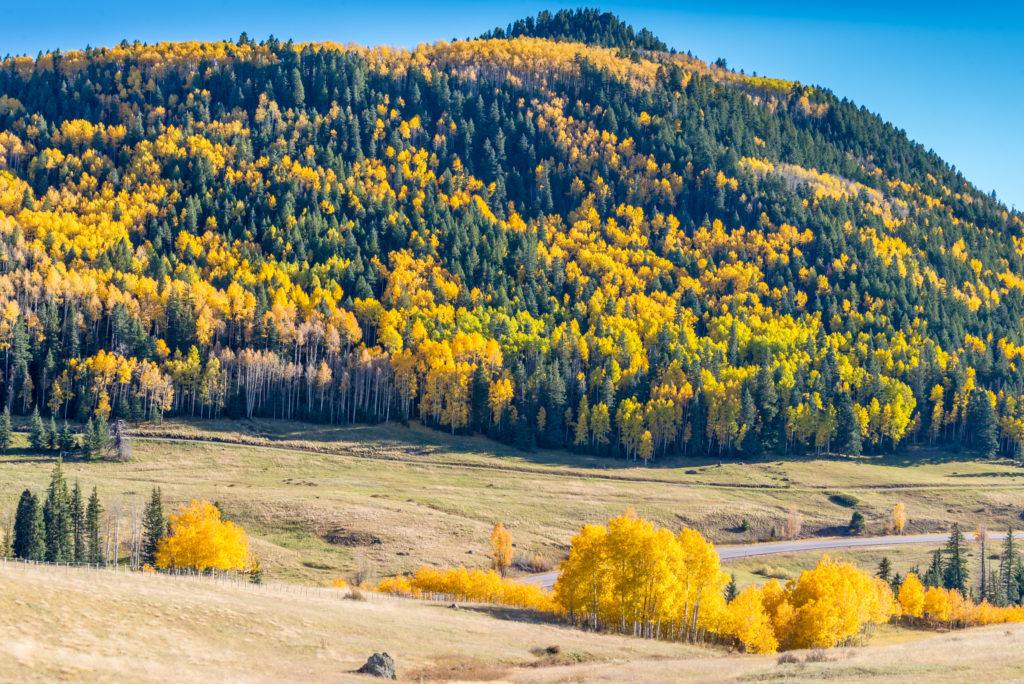 Fall Colors along the Cumbers and Toltec Scenic Railroad