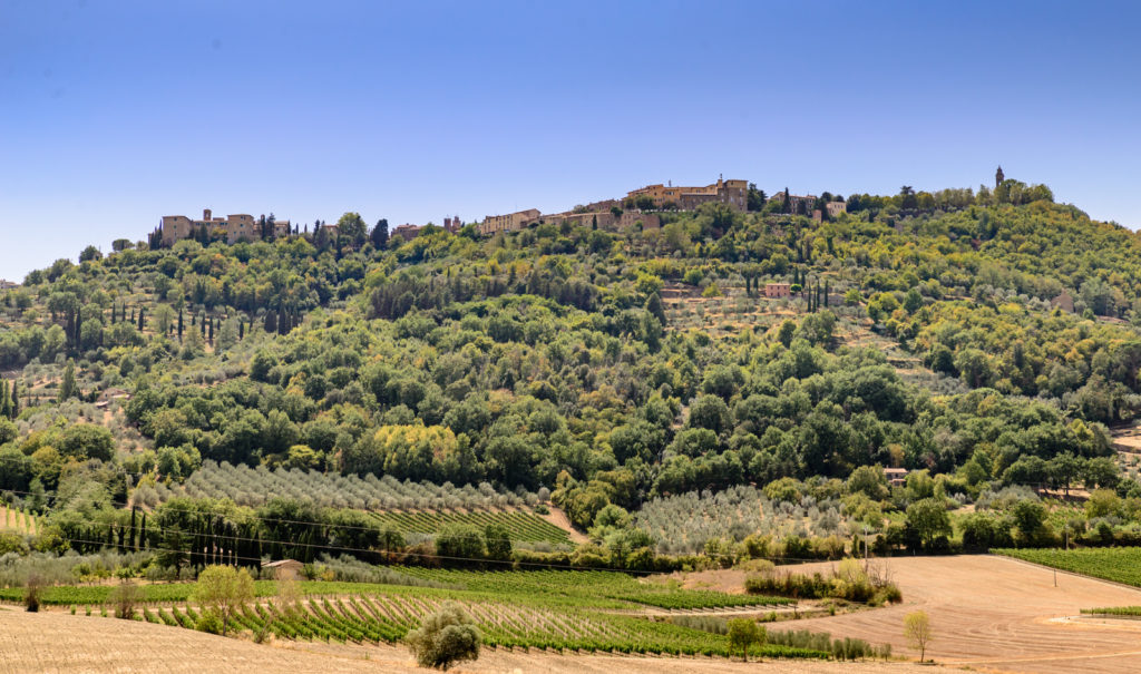 Montalcino is one of our favorite hill towns of Tuscany